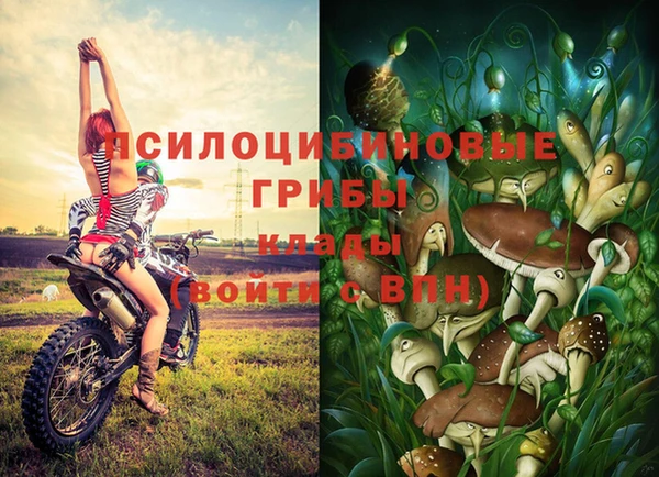 эйфоретик Магадан