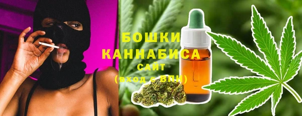 индика Зеленокумск