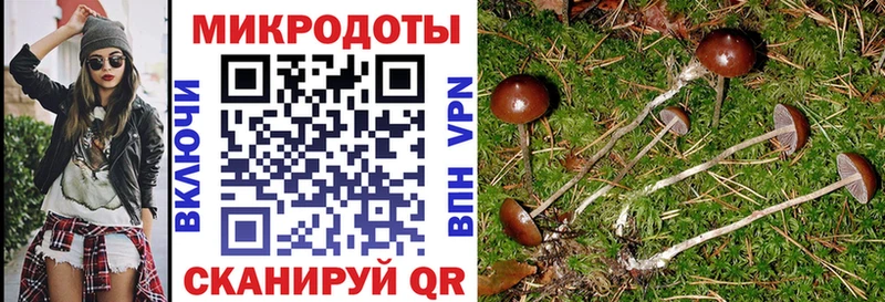 Галлюциногенные грибы Psilocybine cubensis Яхрома